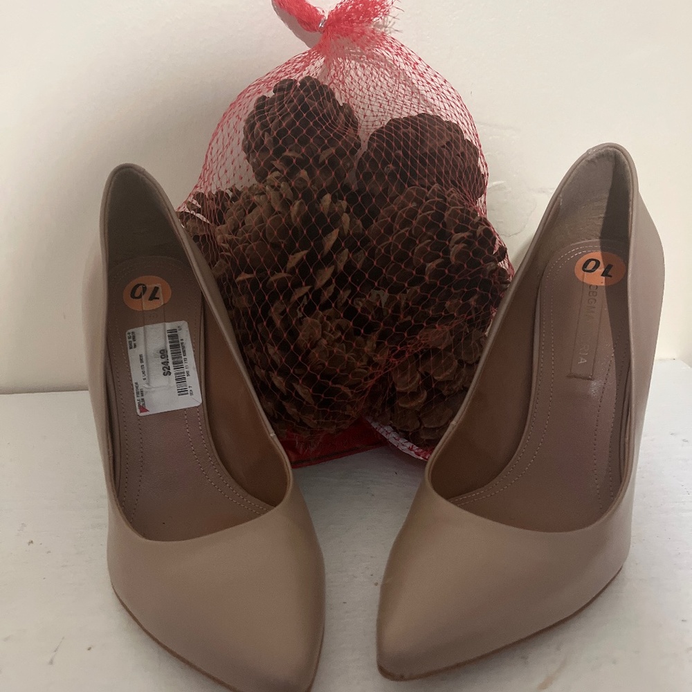 Blush or Taupe Beautiful Heels